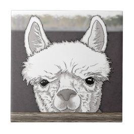 Alpaca Portrait