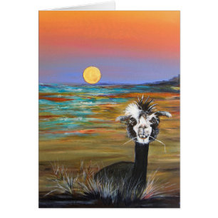 Alpaca - Vincent com cartão da história