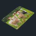 Alpacas com Copas Vermelhas<br><div class="desc">Que tal um seis paca? | Avanti,  a Marca Humor Global™ tem entretido o mundo com seus cartões de saudação Sentir-se bem engraçado por mais de 40 anos. Nossas personagens vivem a vida ao máximo e celebram o humor no dia a dia.</div>
