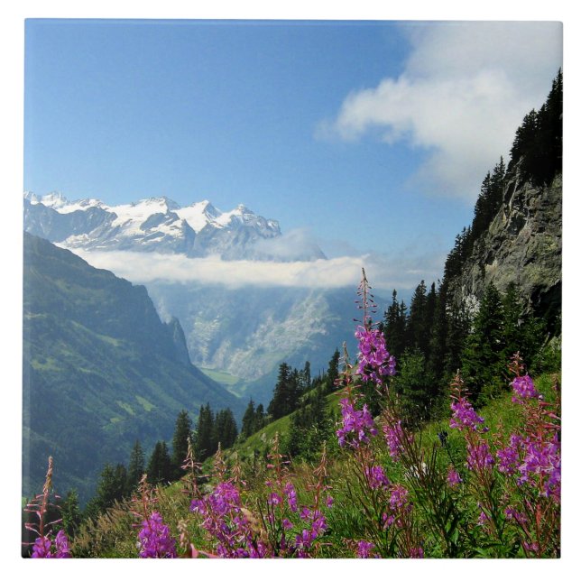 Alpes - Suiça (Frente)