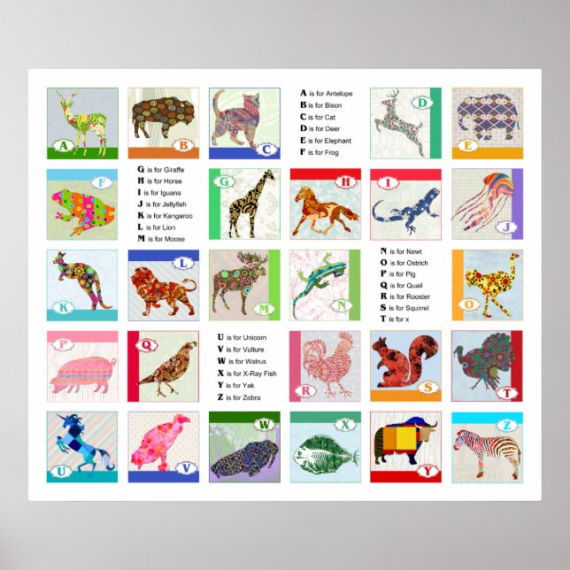 Alphabet Animal Poster (Frente)