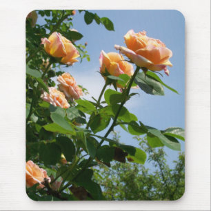 "Alquimista" Mousepad cor-de-rosa