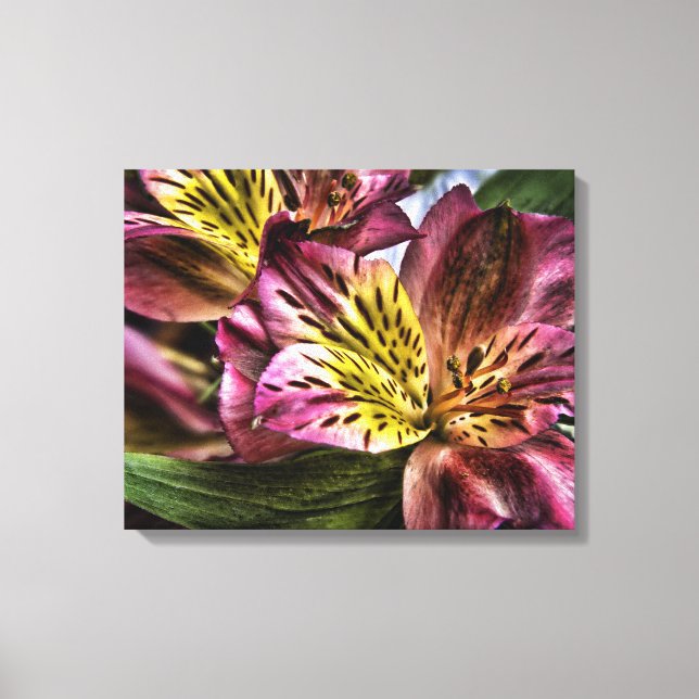 Alstroemeria Lily Flor Canvas Peruana (Frente)
