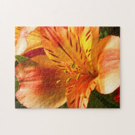 Alstroemeria na Quebra-cabeça de Orange Jigsee