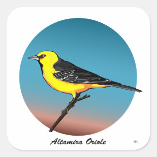 Altamira Oriole rev.2.0 Botões e adesivos