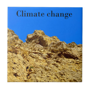 Alterações climáticas cuidam do ambiente