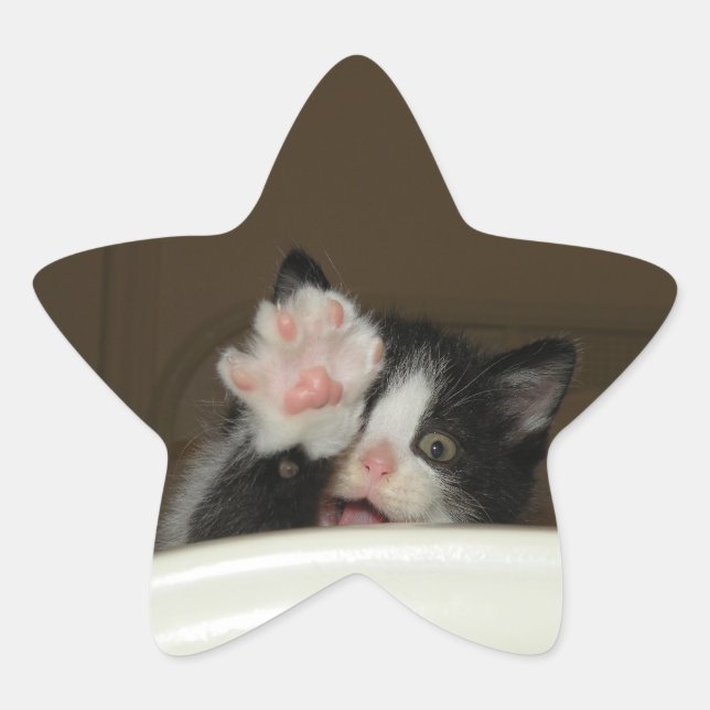 Altos adesivos para estrelas de gatinho (Frente)