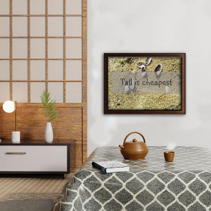 Altura é sabedoria mais barata dizendo poster