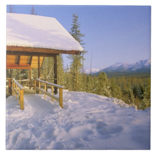 Aluguer da cabana USFS Schnauss no Inverno com vis