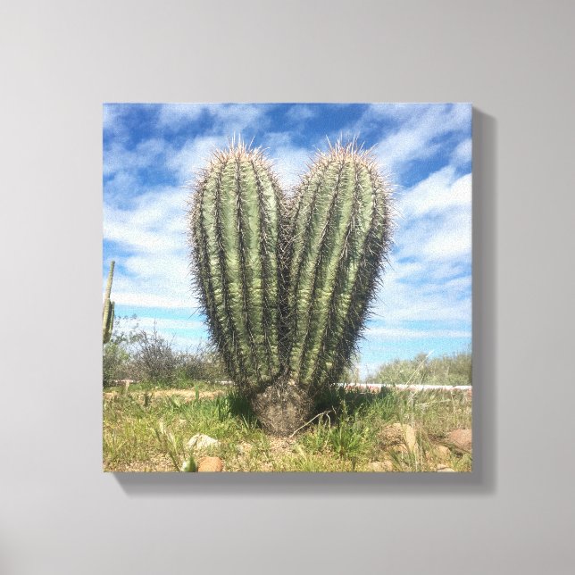 ama a canvas saguaro (Frente)