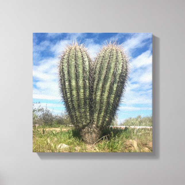 ama a canvas saguaro (Frente)