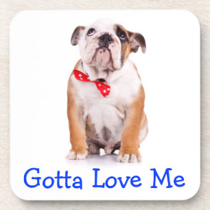 Ama Bulldog Conjunto de Porta-Copos de Cachorrinho