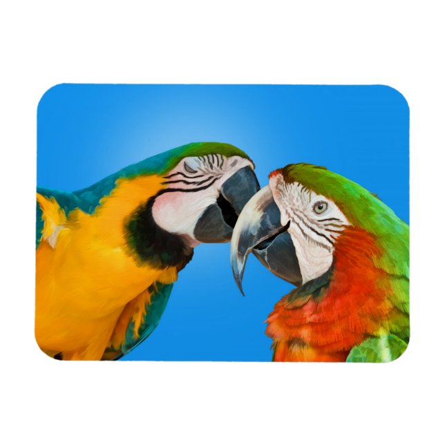 Amando peças e ímã flexível (Horizontal)