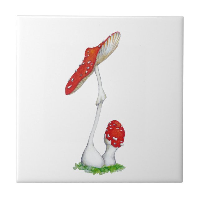 Amanita muscaria (Frente)