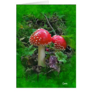 Amanita Muscaria em Verde - Cartão de Arte de 5" x