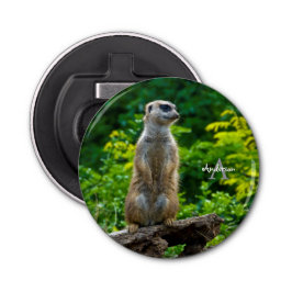 Amante de frasco Meerkat