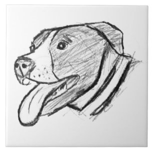 amante de os animais de foto-cão desenhado pela m