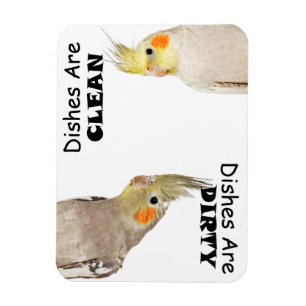 Amantes do pássaro - Cockatiel - ímã sujo dos