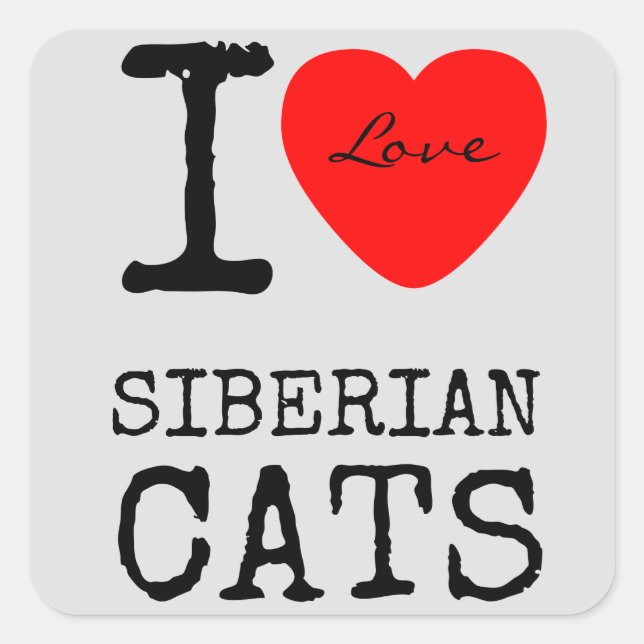 Amar os adesivos de gatos siberianos (Frente)
