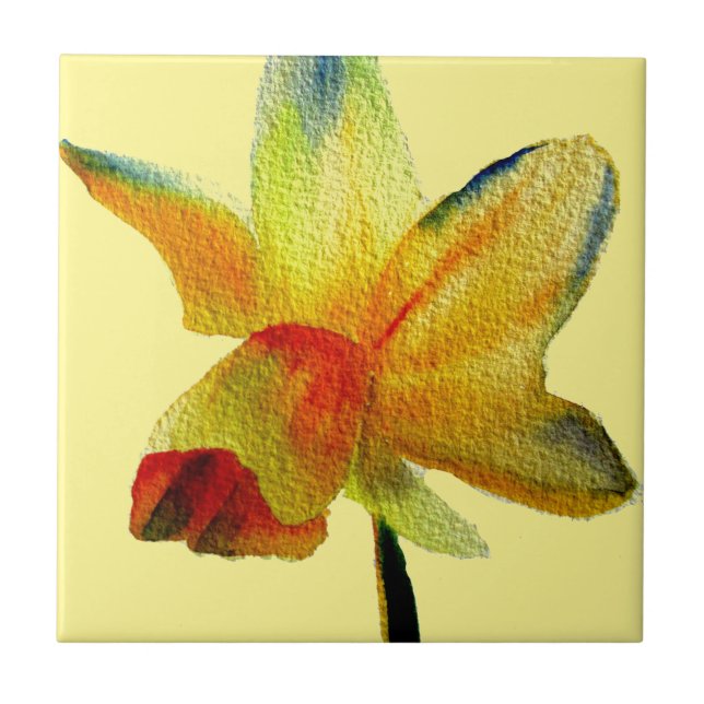 Amarelo Daffodil watercolor Primavera (Frente)