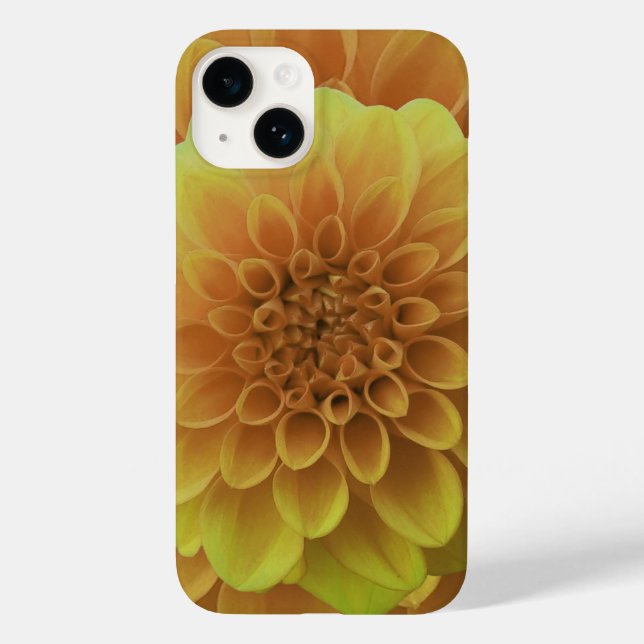 Amarelo Dahlia (Verso)