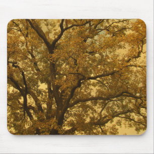 Amarelo de Árvore Massiva de Outono de Mousepad