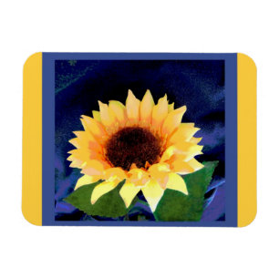 amarelo e azul do ímã do girassol