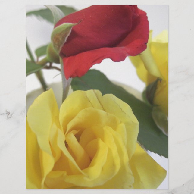 Amarelo e Rosas vermelhas (Frente)