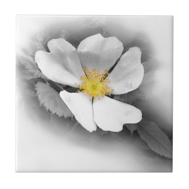 amarelo em tons de cinza (Frente)