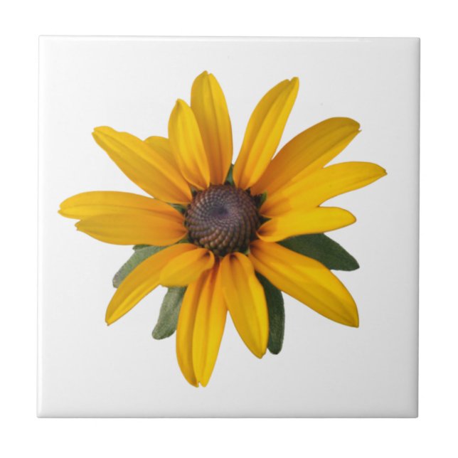 Amarelo Feliz do País Flor (Frente)