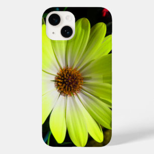 Amarelo Fluorescente Africano Daisy