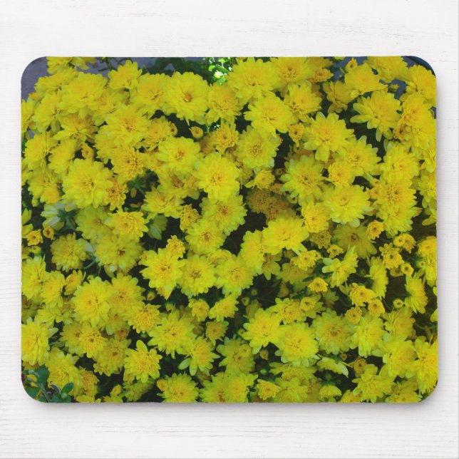 Amarelo Margarita Daisy Mousepad (Frente)