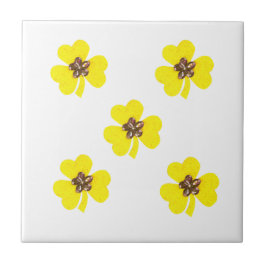Amarelo primavera, trevos amarelos claros para coz