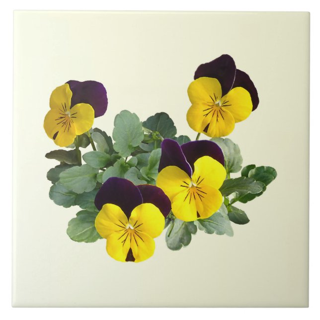 Amarelo Salta Viola Sorbet (Frente)