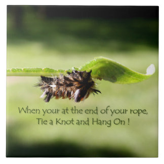 "Amarre um nó e pendure-o" no azulejo de Decrotive