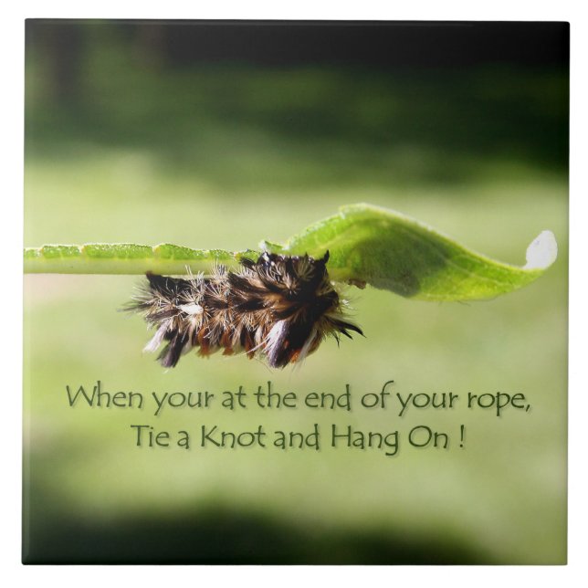 "Amarre um nó e pendure-o" no azulejo de Decrotive (Frente)