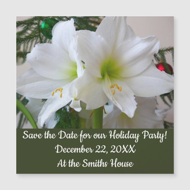 Amaryllis Branca e Árvore de Natal (Frente)