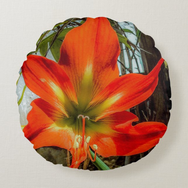 Amaryllis Closeup Almofada Redonda (Frente)