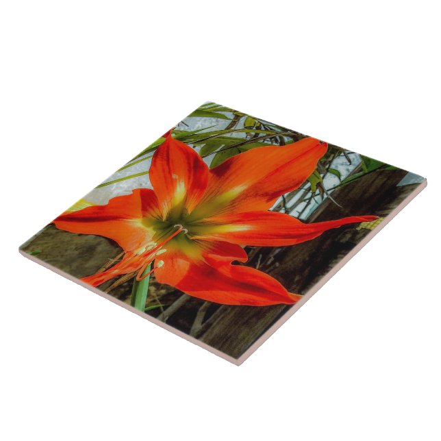 Amaryllis Closeup Ceramic Tile (Lateral)