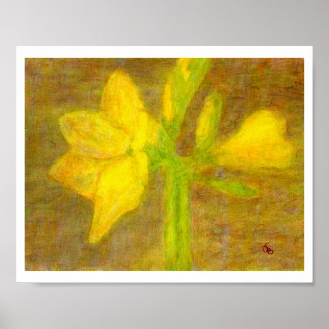 Amaryllis, Poster (Frente)