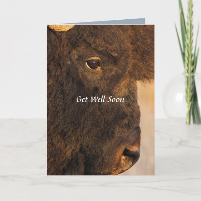 Ambas As Extremidades Do Cartão Humoroso De Buffal (Frente)