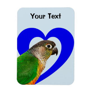 Ame este ímã de Conure