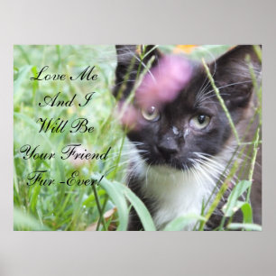 Ame-me Kitten Poster