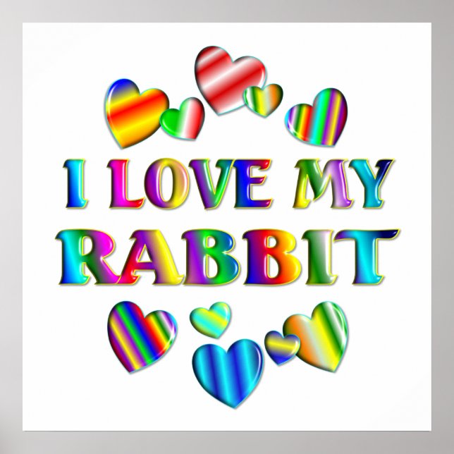 Ame o meu Poster de Rabbit (Frente)