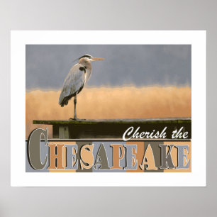 Ame o poster do Chesapeake
