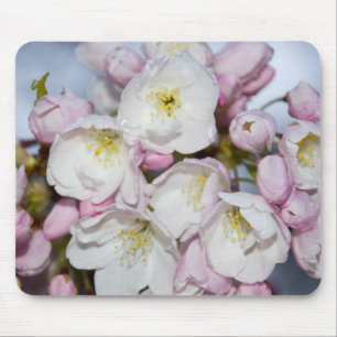 Ameixa japonesa Mousepad
