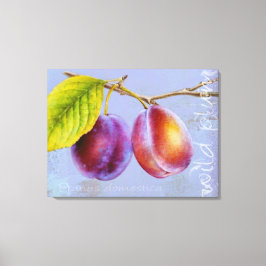 Ameixa selvagem - Prunus domestica canvas art mauv