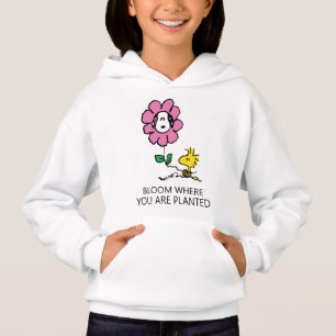 Amendoins Esnoopia E Flor De Madeira