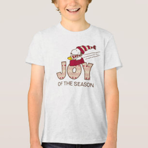 Amendoins Passeio De Snoopy & Woodstock Joy Sled