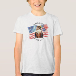 America desde 1776 aquarela bandeira/águia/fogos d